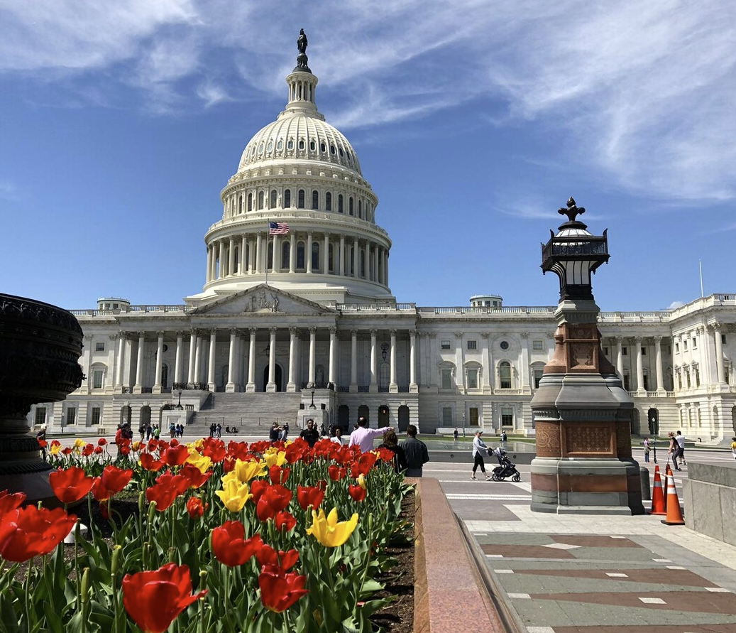 Primeiros passos como turista